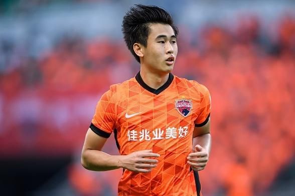一仆二主48集电视连续剧爱奇艺