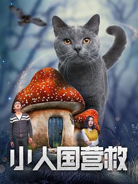 aaa一级片