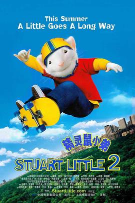 成人在线二区