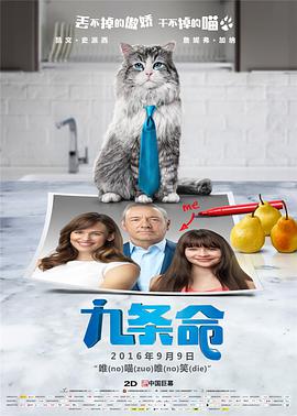 步非烟陪读的妈妈们有声小说